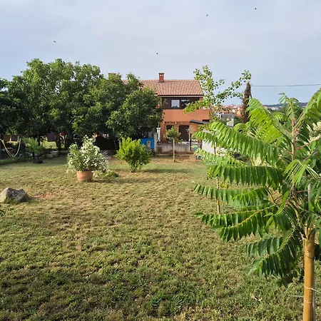 Dorothy Apartmán Pula