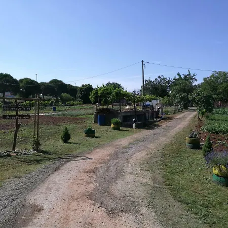 Appartement Dorothy Pula